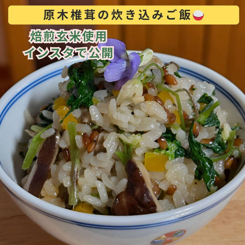 水蒸気福焙玄米 | 無農薬・特許製法 福井県産 健康習慣に