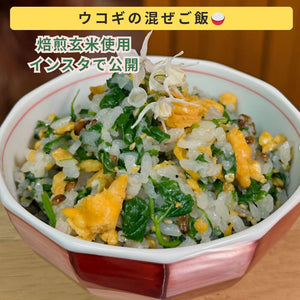 水蒸気福焙玄米 | 無農薬・特許製法 福井県産 健康習慣に